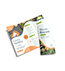 Brochures